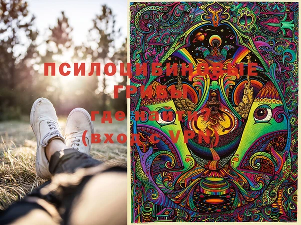 бошки Михайлов