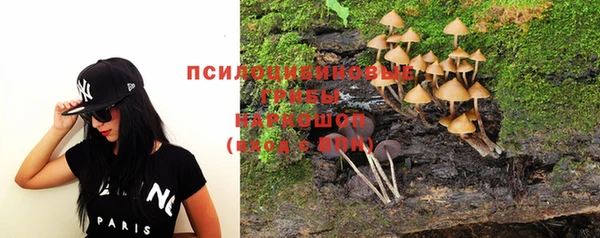 спиды Михайловск