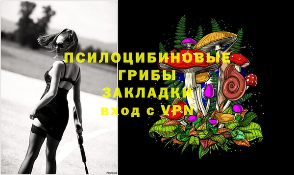 спиды Михайловск
